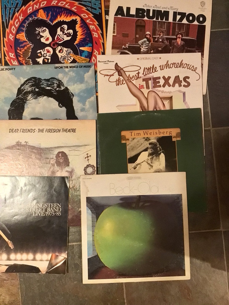 Vinyl LP Record Collection - image 3 of 7