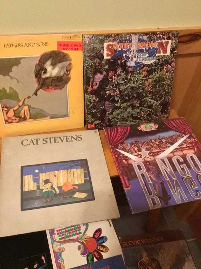 Vinyl LP Record Collection - image 7 of 7