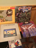 Vinyl LP Record Collection - thumbnail 7 of 7