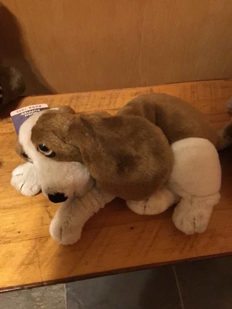 Assorted Boyds Bears & Hush Puppies Plush Stuffed Animals - image 6 of 6