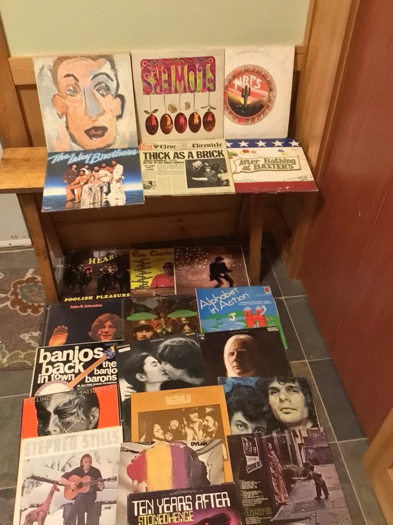 Collection of vintage vinyl LP album covers - image 1 of 5