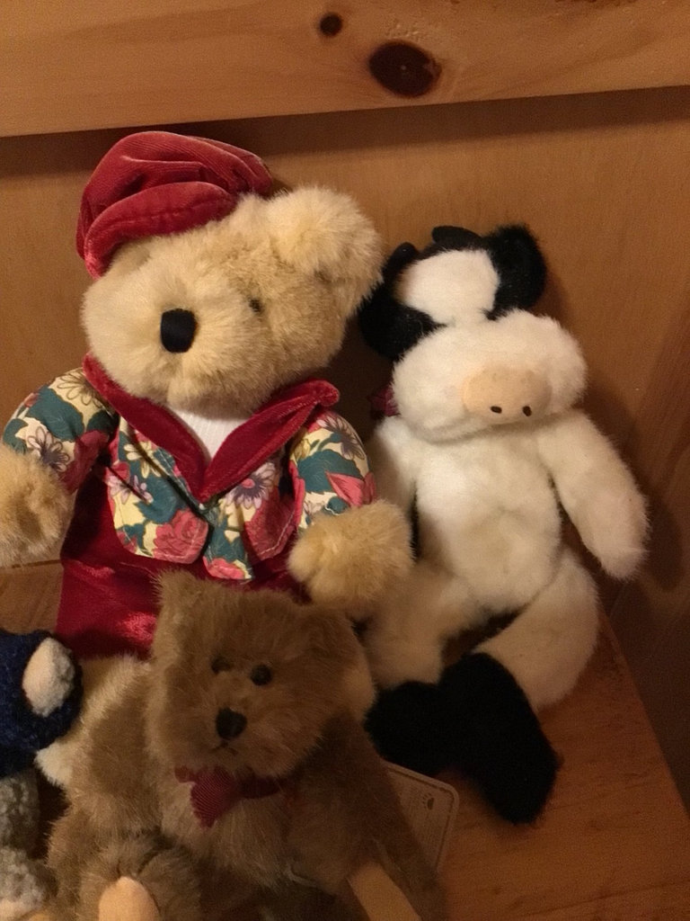 Assorted Boyds Bears & Hush Puppies Plush Stuffed Animals - image 5 of 6