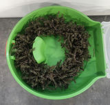 Wreath & Wreath Box Lot - thumbnail 8 of 11