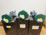 Asian Pacific Imports - thumbnail 10 of 14