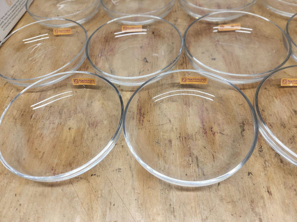 Vivendi Nachtmann Plates/Bowls Lot - image 2 of 12