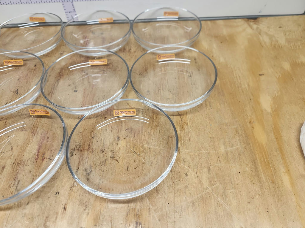 Vivendi Nachtmann Plates/Bowls Lot - image 3 of 12