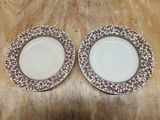 D.B. & Co Imperial Brown Transferware - thumbnail 23 of 24