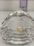 Paperweight Lot - thumbnail 14 of 14