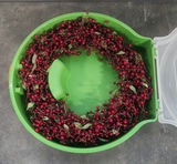 Wreath & Wreath Box Lot - thumbnail 10 of 11