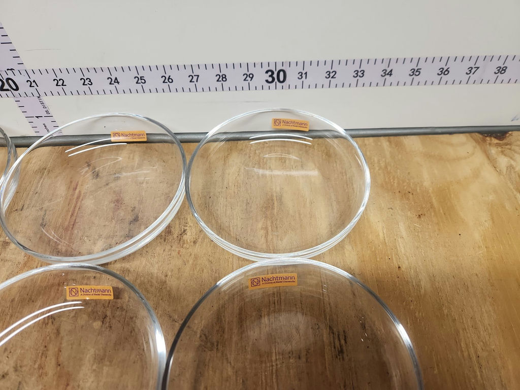 Vivendi Nachtmann Plates/Bowls Lot - image 6 of 12