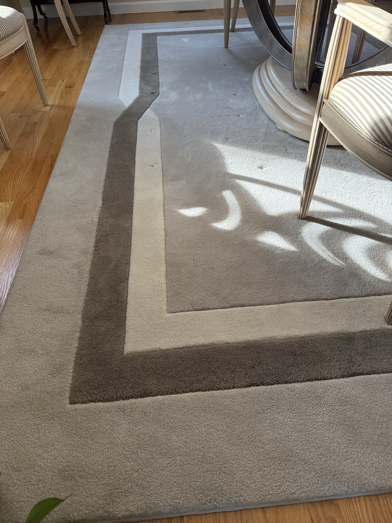 8x12 rug - image 1 of 4