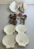 Coastal Themed Decorative Shells, Fish Figurines, and Glass Decor Assortment - thumbnail 3 of 9