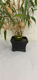 Assorted Planters, Decorative Pots, and Artificial Plant Decor - thumbnail 4 of 11
