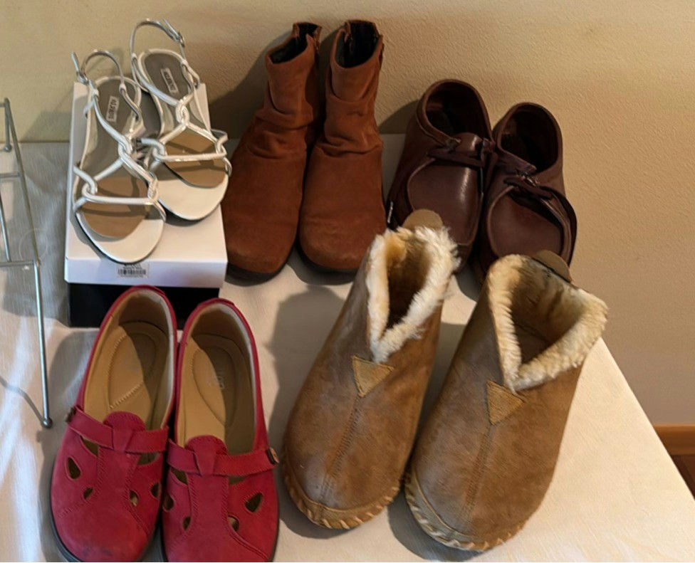 Women’s Shoes And Closet Organizer - image 1 of 6