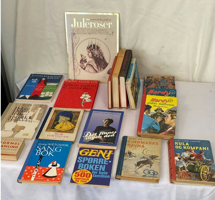 Vintage Norwegian Language Books - image 5 of 7