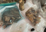 Lapidary Lot #2, Assorted Mineral and Stone Collection - thumbnail 6 of 12