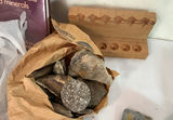 Lapidary Lot #1, Rock and Lapidary Tool Assortment - thumbnail 7 of 11