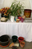 Assorted Planters, Decorative Pots, and Artificial Plant Decor - thumbnail 1 of 11