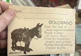 Lot Of Postcard Sets Early 1900 - thumbnail 9 of 12