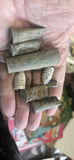 Antique Rifle Balls And Cartridges Antique Has Found - thumbnail 1 of 4