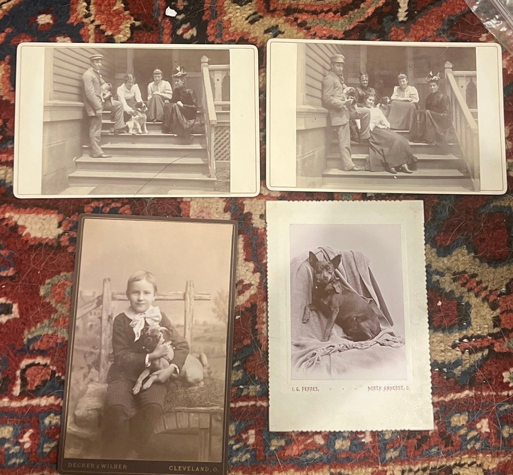 4 Cabinet Photos Cleveland Family Members With Their Dogs - image 1 of 5