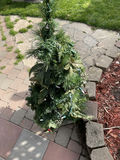 7 Ft Christmas Tree and Smaller Tree In Pot - thumbnail 4 of 9