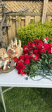 Christmas Decor - thumbnail 1 of 9