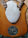 Two Sets of Antlers. - thumbnail 5 of 9