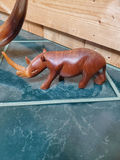 Safari Collection - thumbnail 3 of 10