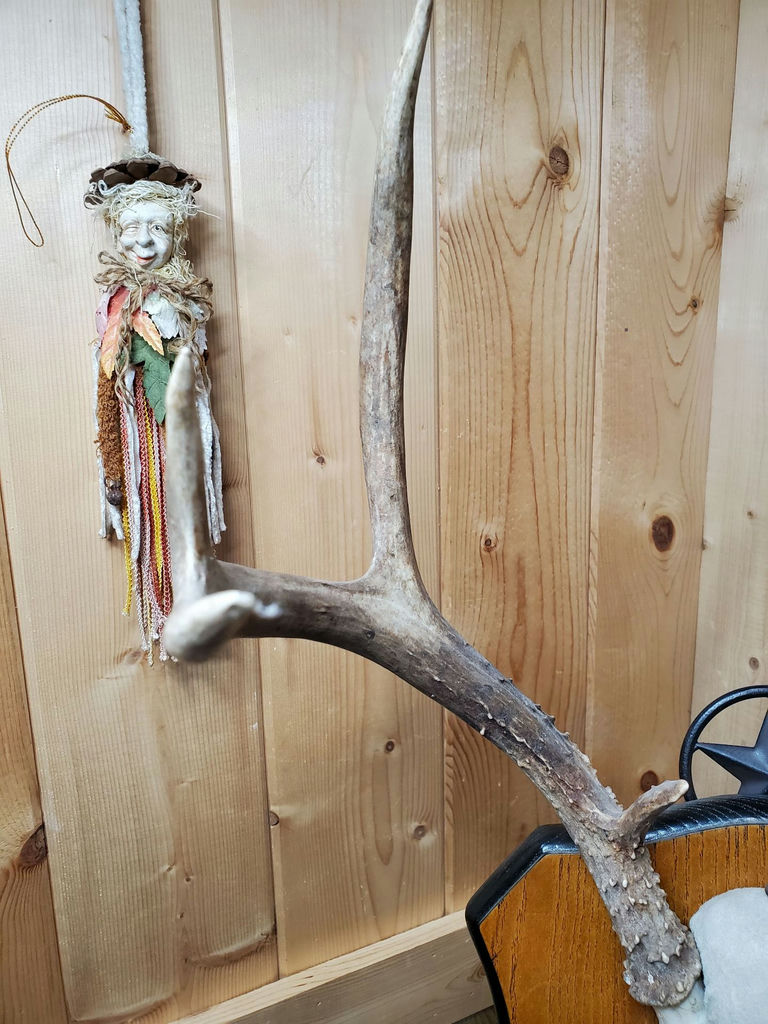 Two Sets of Antlers. - image 4 of 9