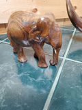 Safari Collection - thumbnail 8 of 10