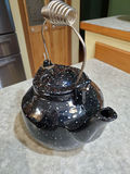 Enamel Tea Kettle. - thumbnail 2 of 5