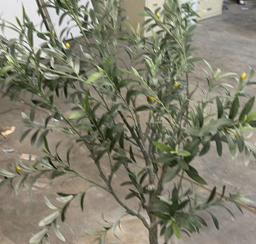 Artificial Olive Tree in White Planter - image 3 of 4