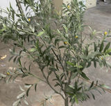 Artificial Olive Tree in White Planter - thumbnail 3 of 4