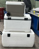 Igloo Coolers and Rolling Cooler - thumbnail 1 of 12
