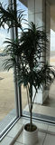 Tall Potted Artificial Tree - thumbnail 1 of 5