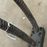 Mounted Decorative Horn Sculpture - thumbnail 5 of 5