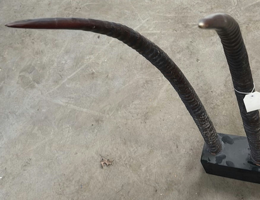 Mounted Decorative Horn Sculpture - image 4 of 5