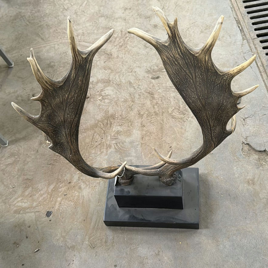 Mounted Moose Antlers Display - image 3 of 5