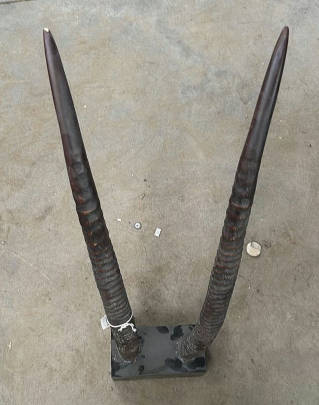 Mounted Decorative Horn Sculpture - image 2 of 5