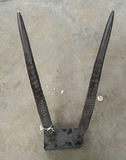 Mounted Decorative Horn Sculpture - thumbnail 2 of 5