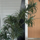White Cabinet and Potted Artificial Plant - thumbnail 6 of 6