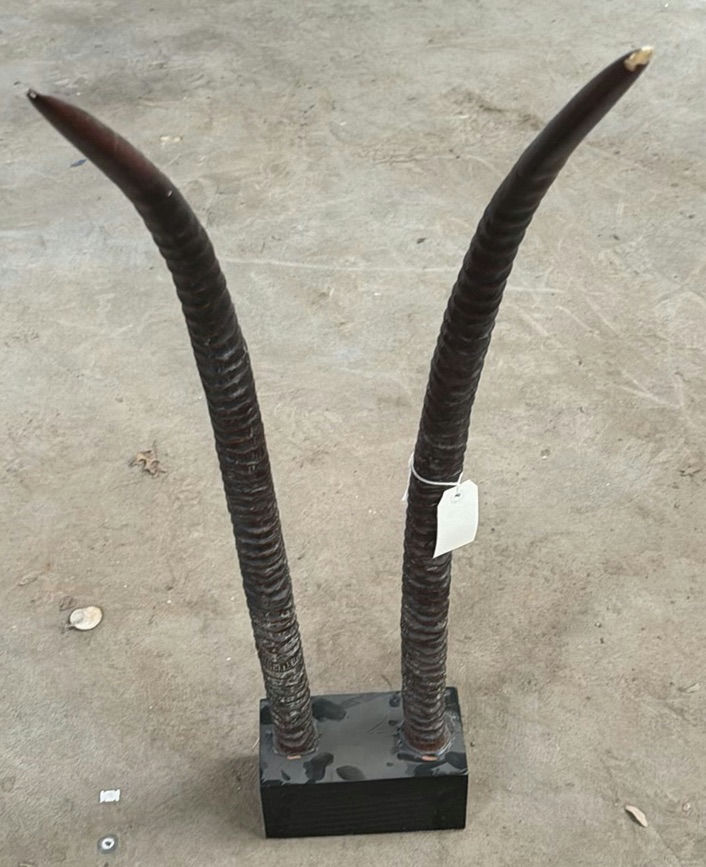 Mounted Decorative Horn Sculpture - image 1 of 5