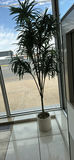 Tall Potted Artificial Tree - thumbnail 5 of 5