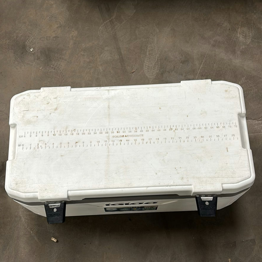 Igloo Coolers and Rolling Cooler - image 6 of 12