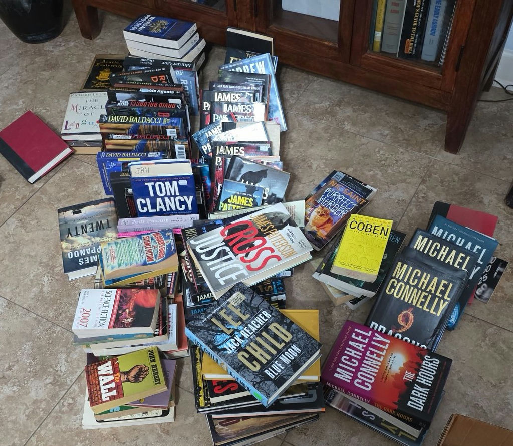 Collection of thriller novels and language reference books - image 1 of 8