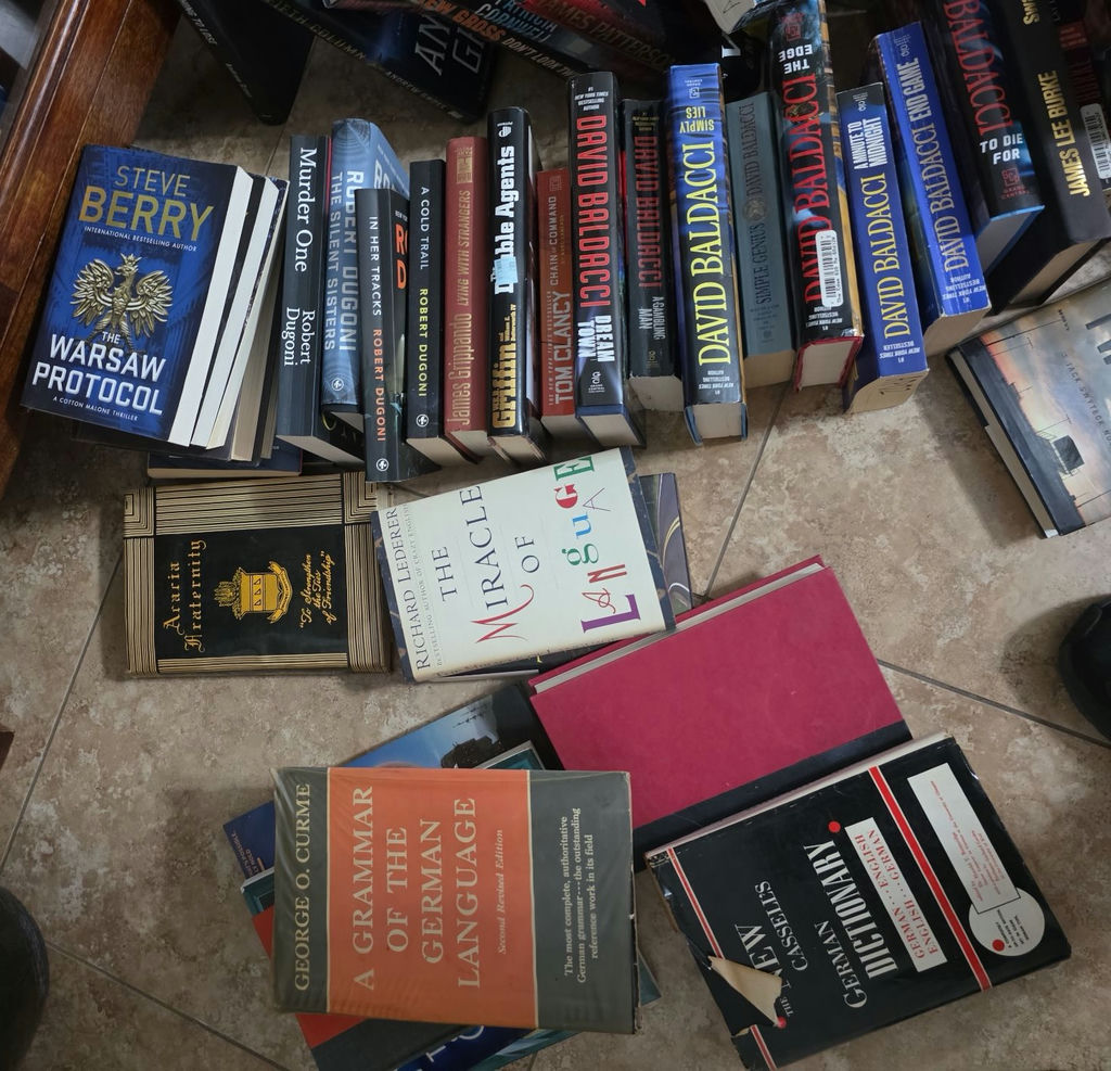 Collection of thriller novels and language reference books - image 3 of 8