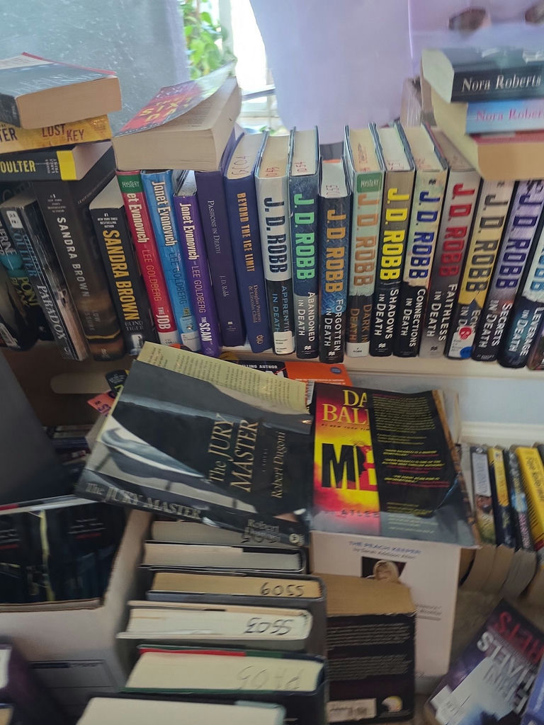 Assorted fiction books in stacks and boxes - image 6 of 10