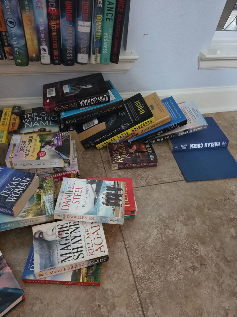 Assorted fiction books in stacks and boxes - image 10 of 10