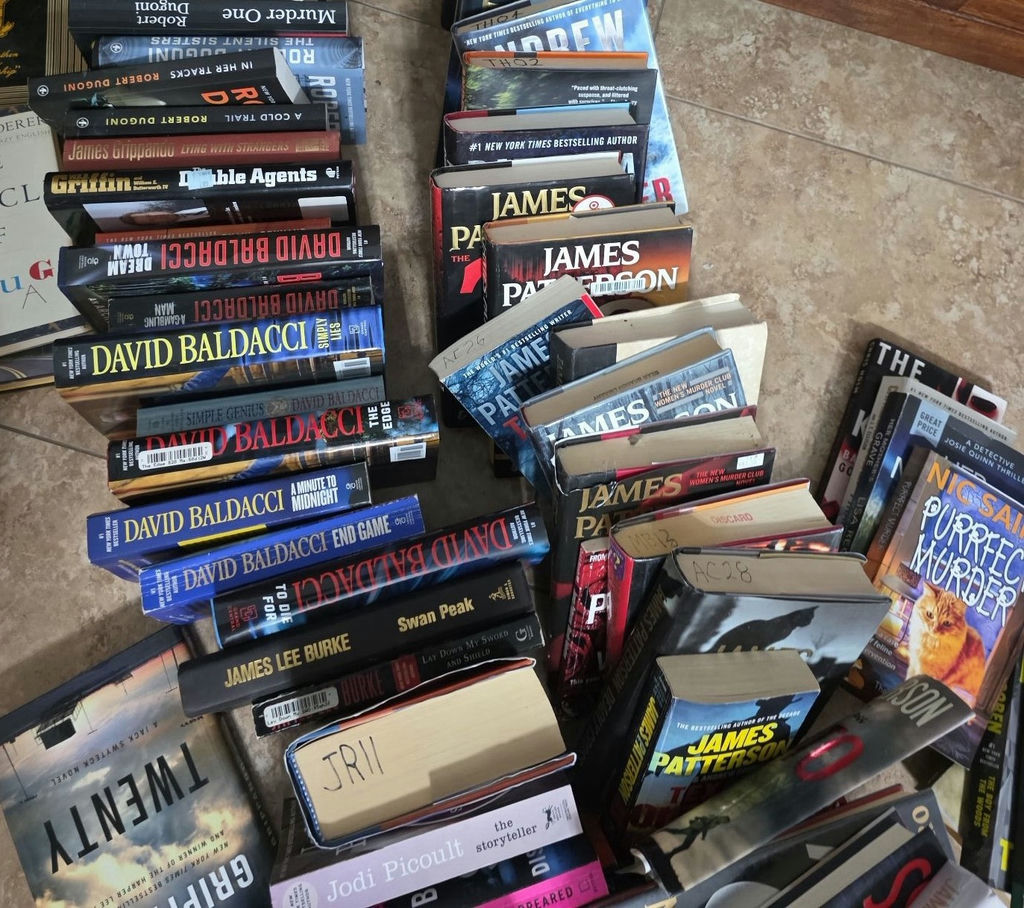 Collection of thriller novels and language reference books - image 6 of 8
